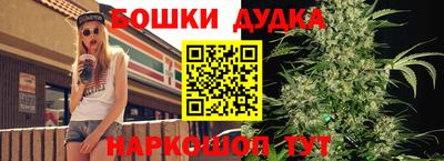 МДПВ Можайск